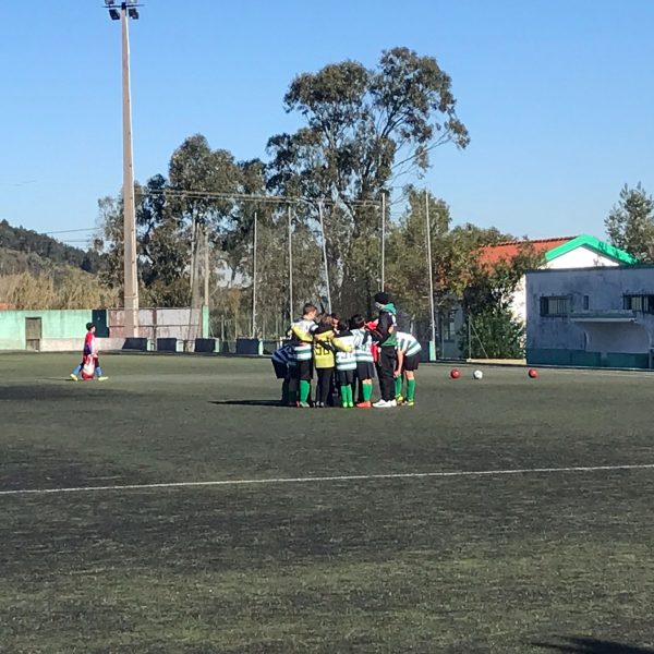 2023-01-28 at 11.00.21